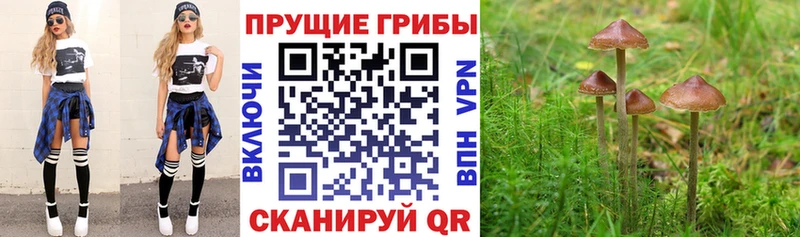 Галлюциногенные грибы Magic Shrooms  Чапаевск 