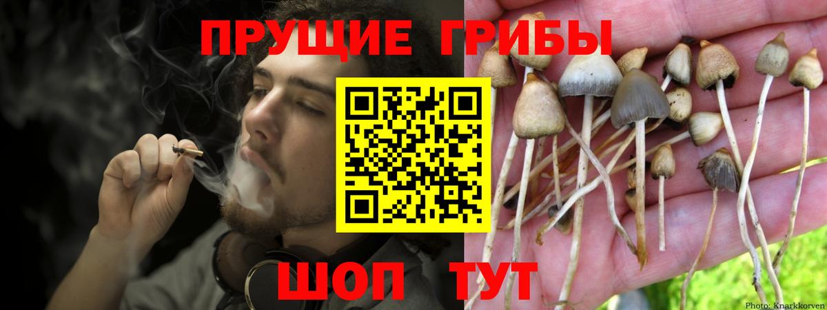Чапаевск  Псилоцибиновые грибы MAGIC MUSHROOMS  Вход с VPN 